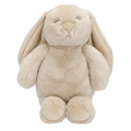 Flopsy Bunny Biscuit