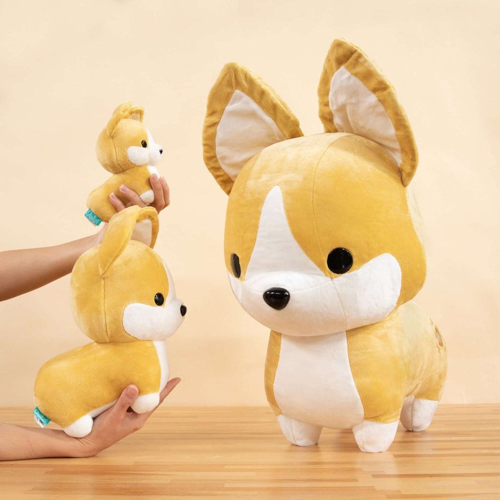 Giant Corgi the Dog