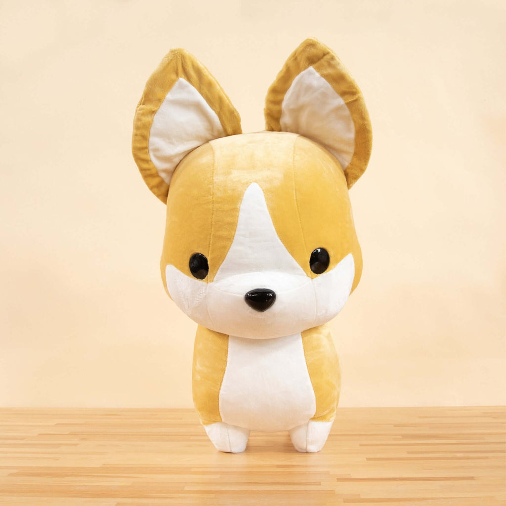 Giant Corgi the Dog