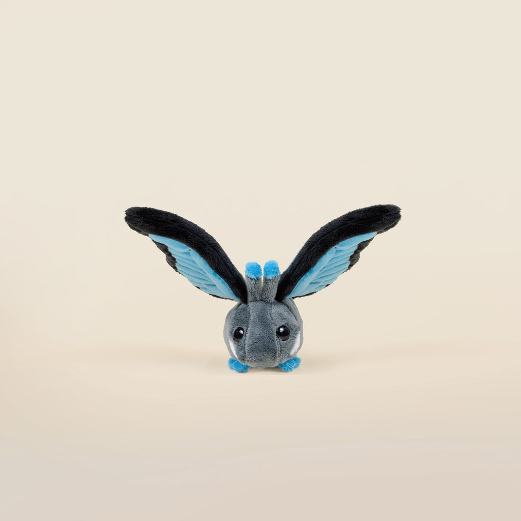 Mini Morpho Butti the Butterfly