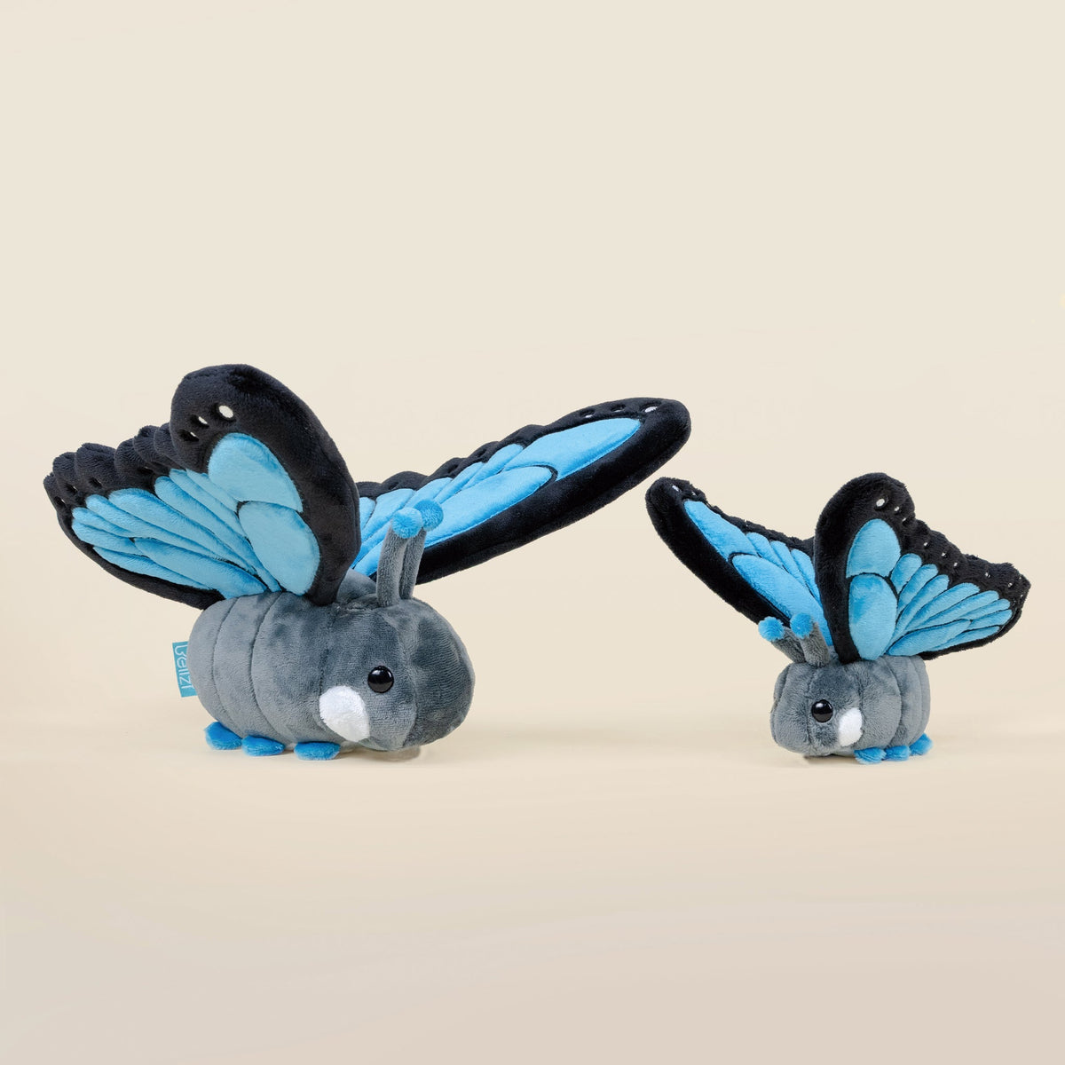 Mini Morpho Butti the Butterfly