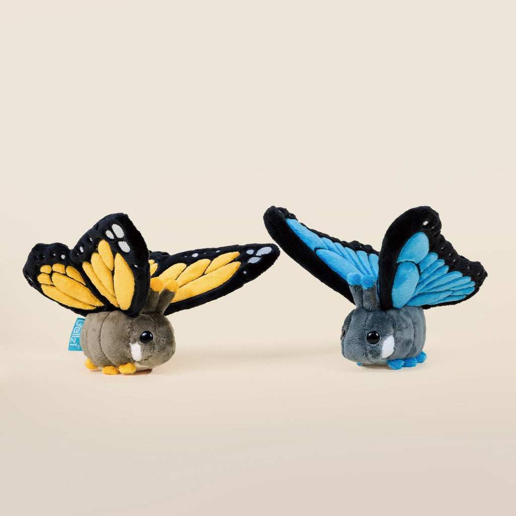 Mini Morpho Butti the Butterfly