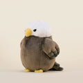 Mini Baldi the Bald Eagle