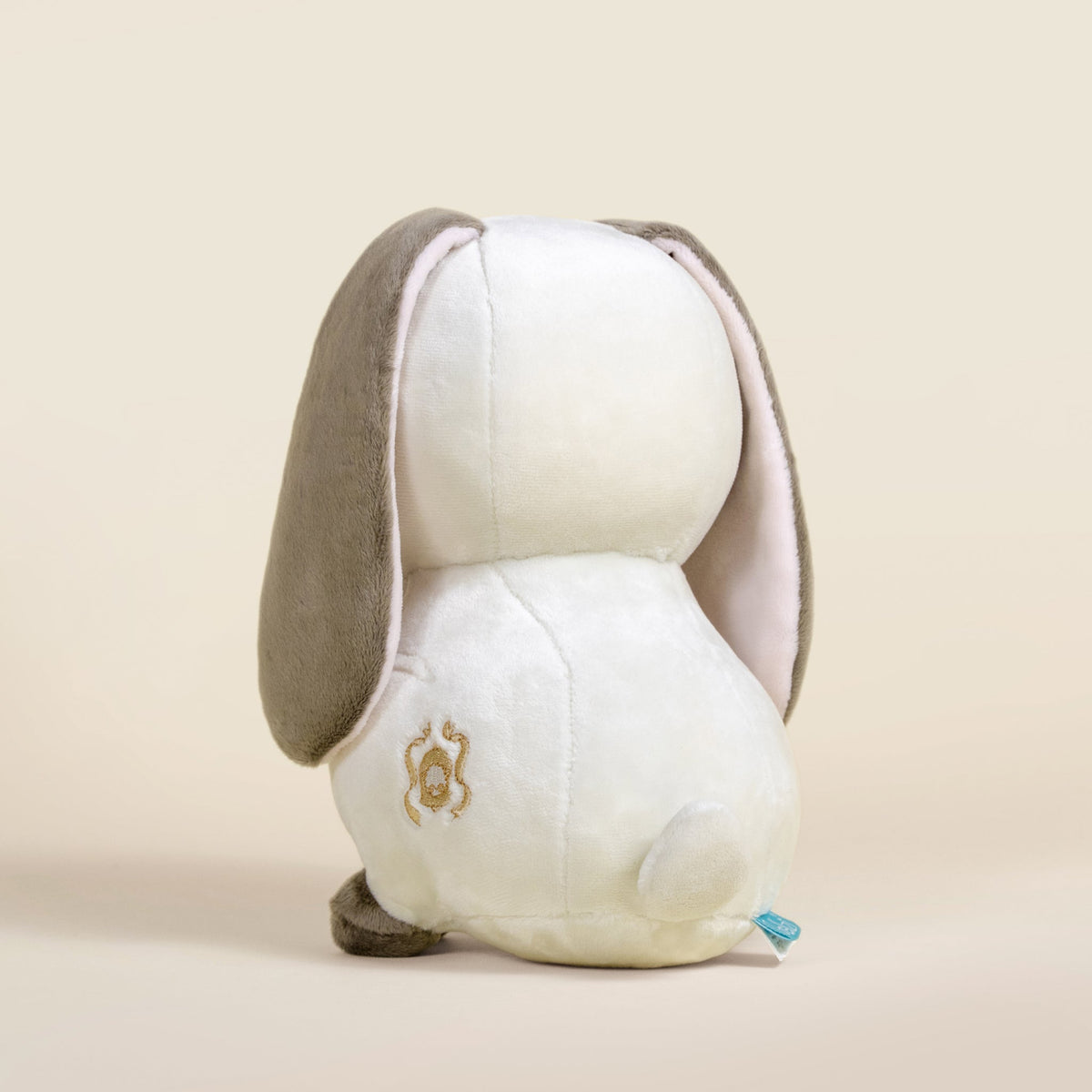 Lop Bunni the Lop Eared Rabbit