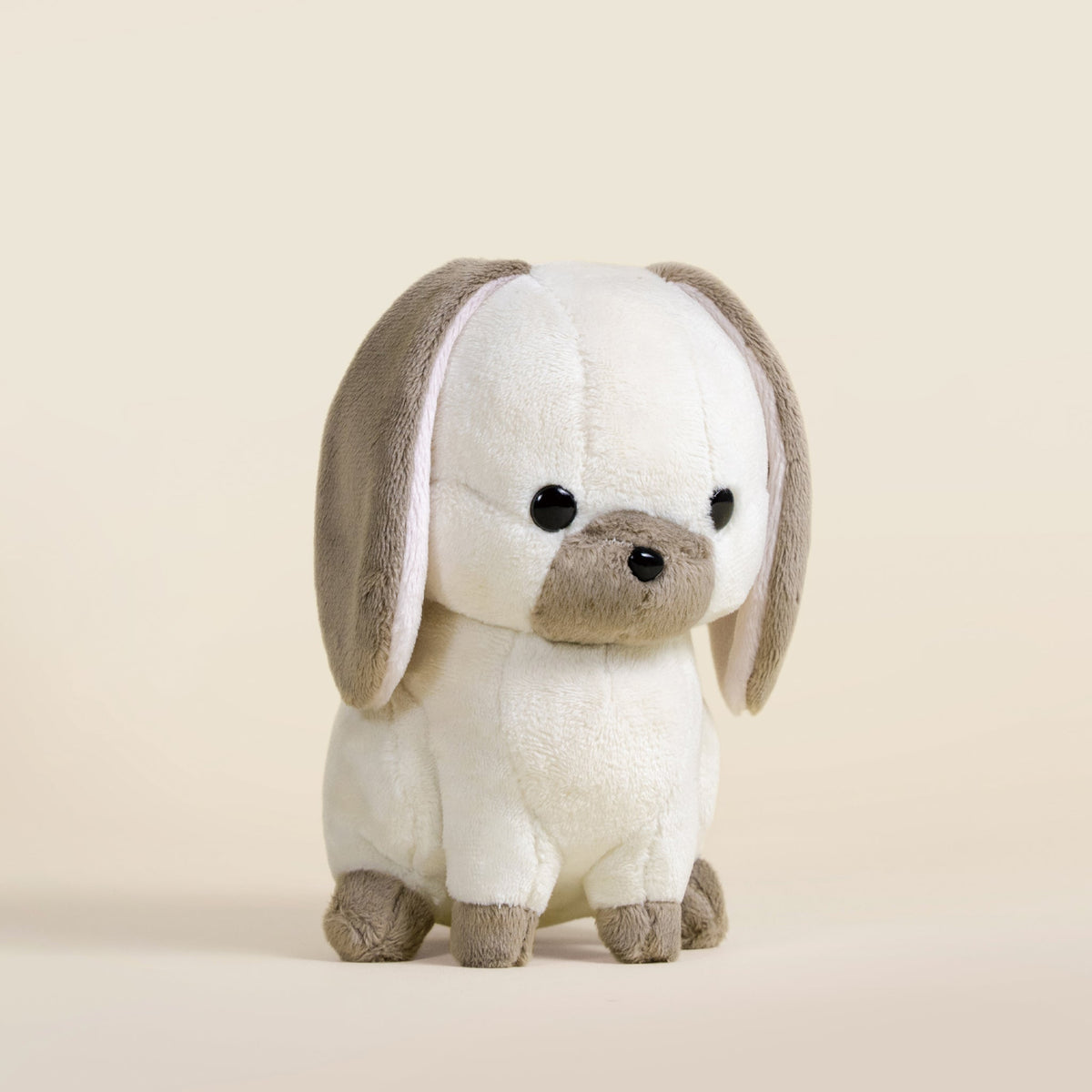 Mini Lop Bunni the Lop Rabbit
