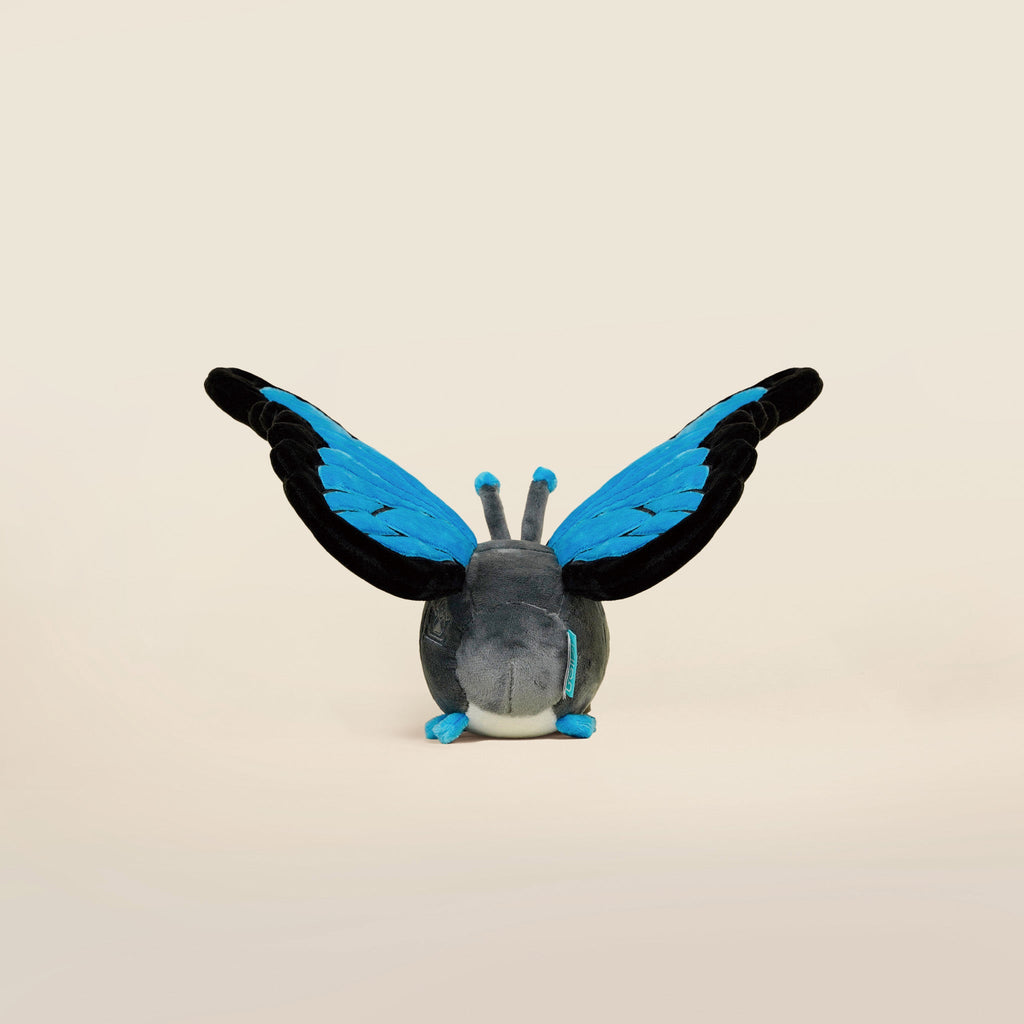 Morpho Butti the Butterfly
