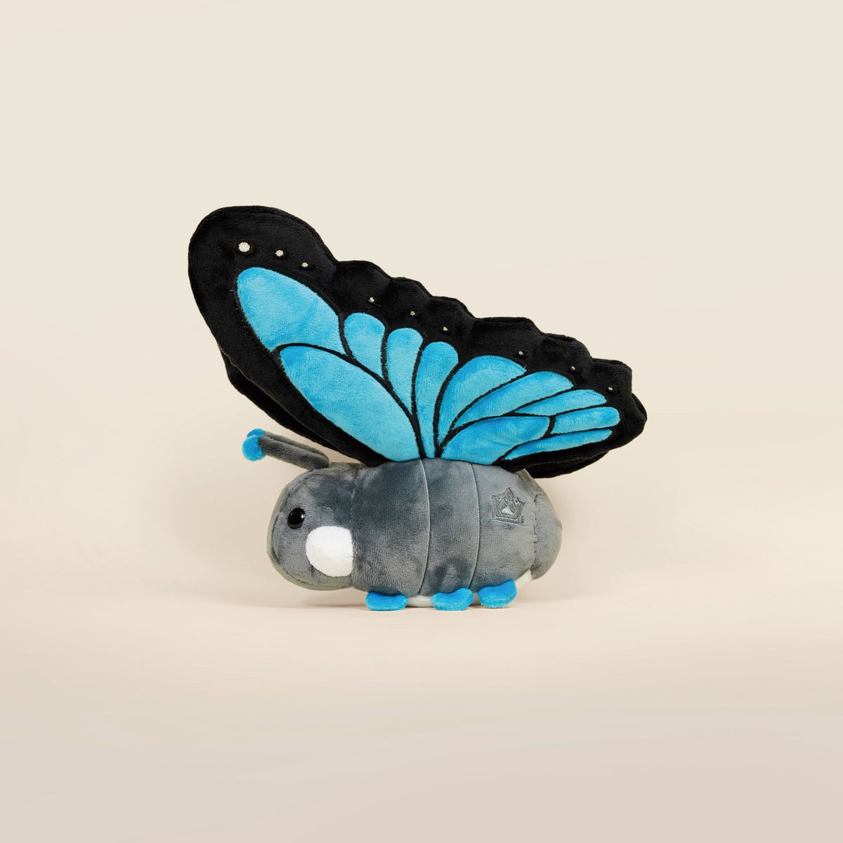 Morpho Butti the Butterfly