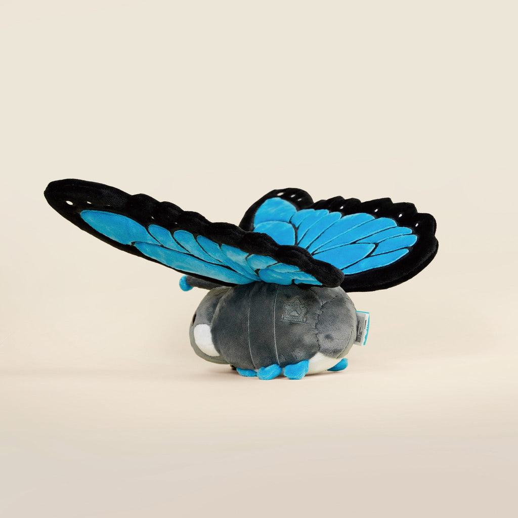 Morpho Butti the Butterfly