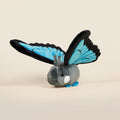 Morpho Butti the Butterfly