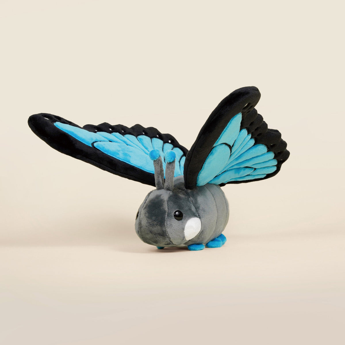 Morpho Butti the Butterfly