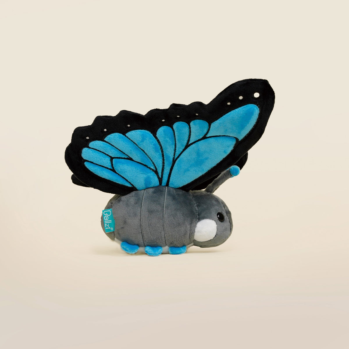 Morpho Butti the Butterfly