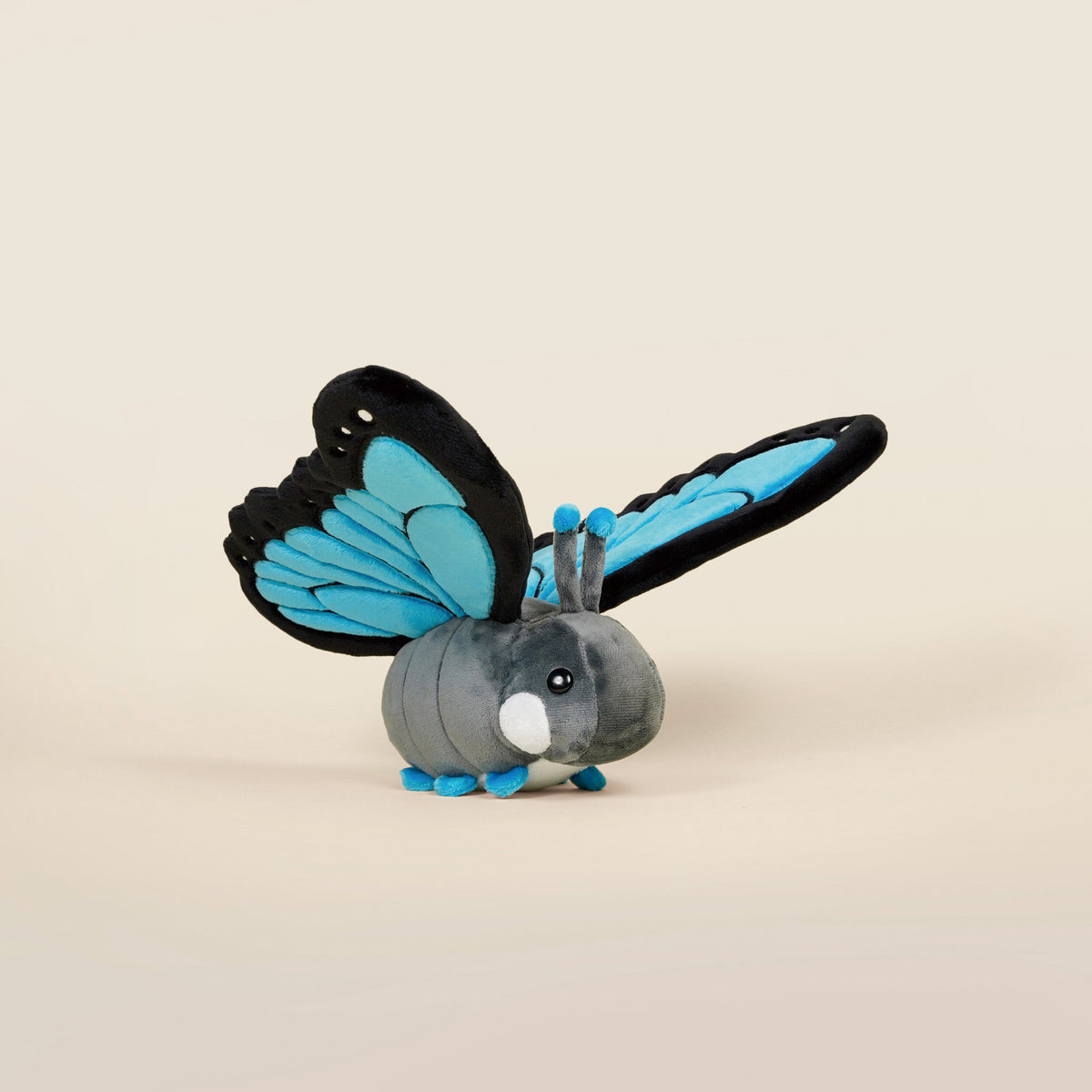 Morpho Butti the Butterfly