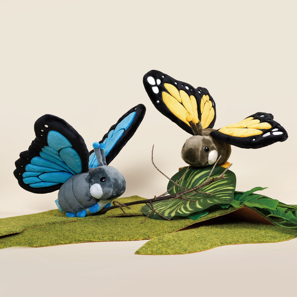 Morpho Butti the Butterfly