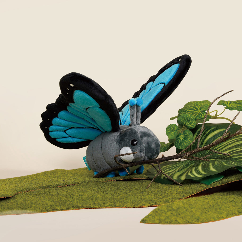 Morpho Butti the Butterfly