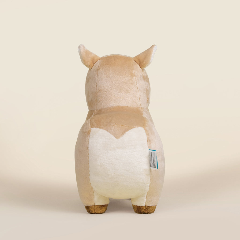 Cappi the Capybara
