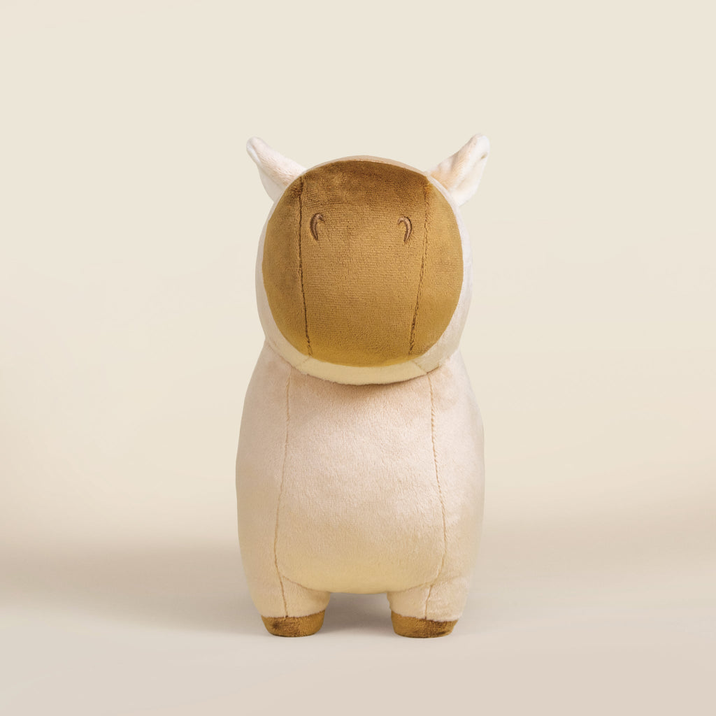 Cappi the Capybara