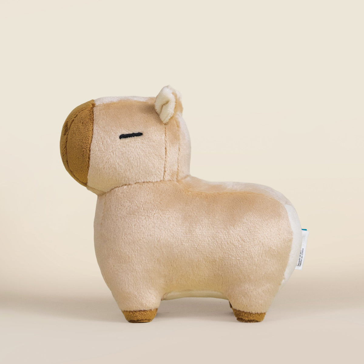 Mini Cappi the Capybara