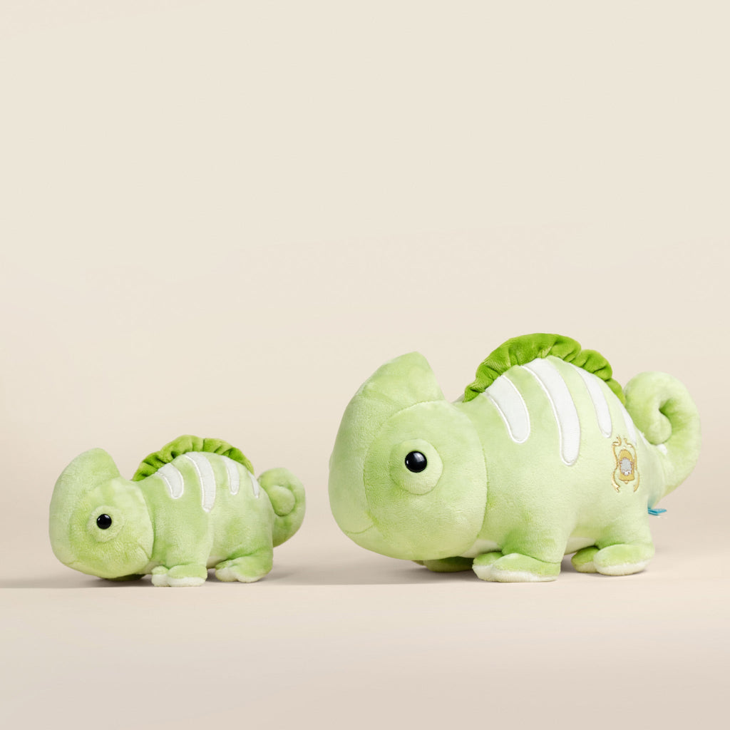 Mini Chamili the Chameleon