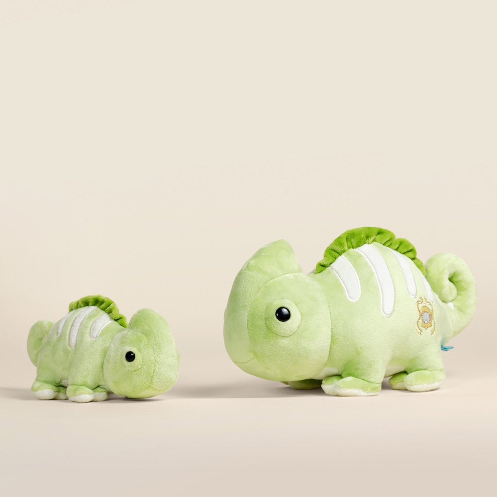 Mini Chamili the Chameleon