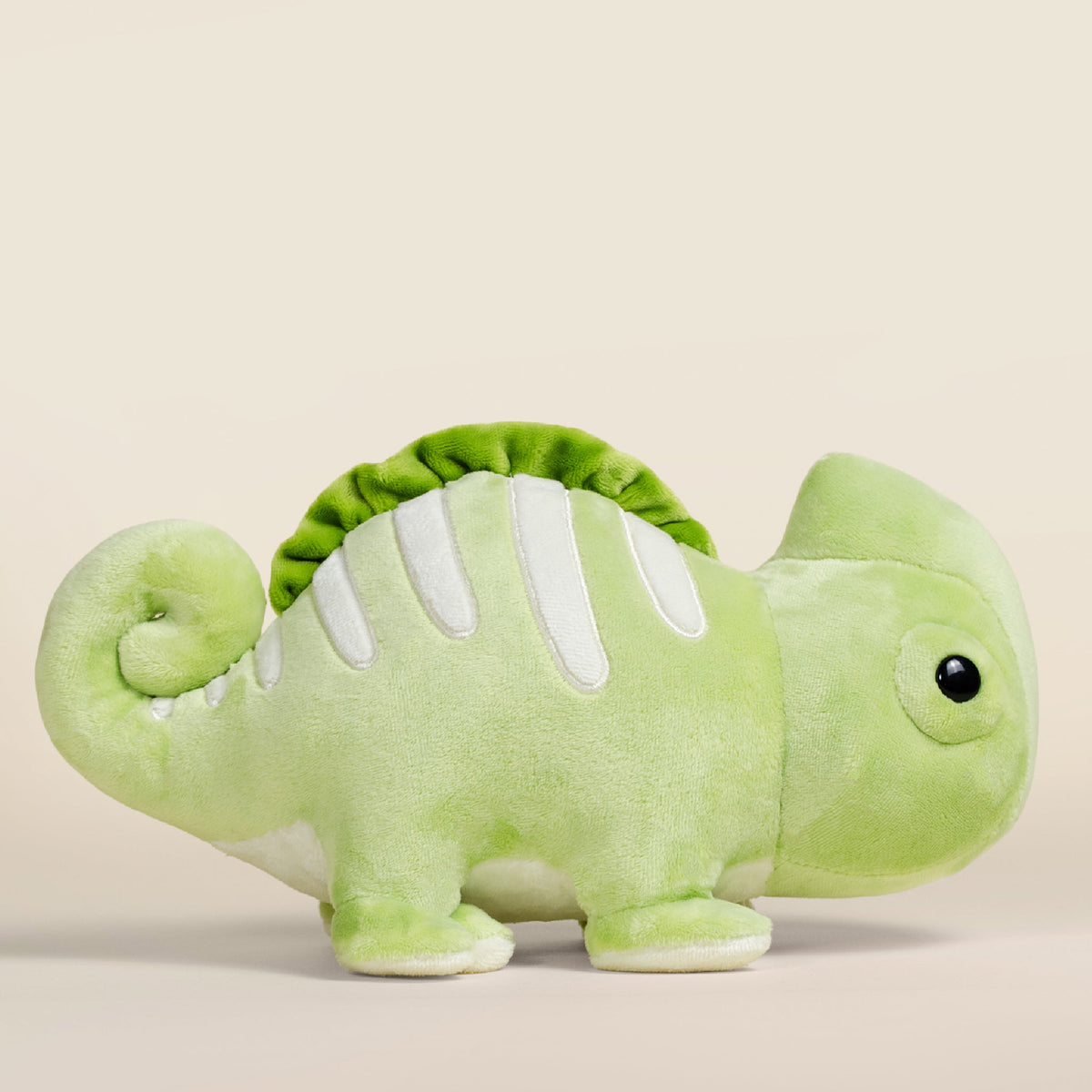 Chamili the Chameleon