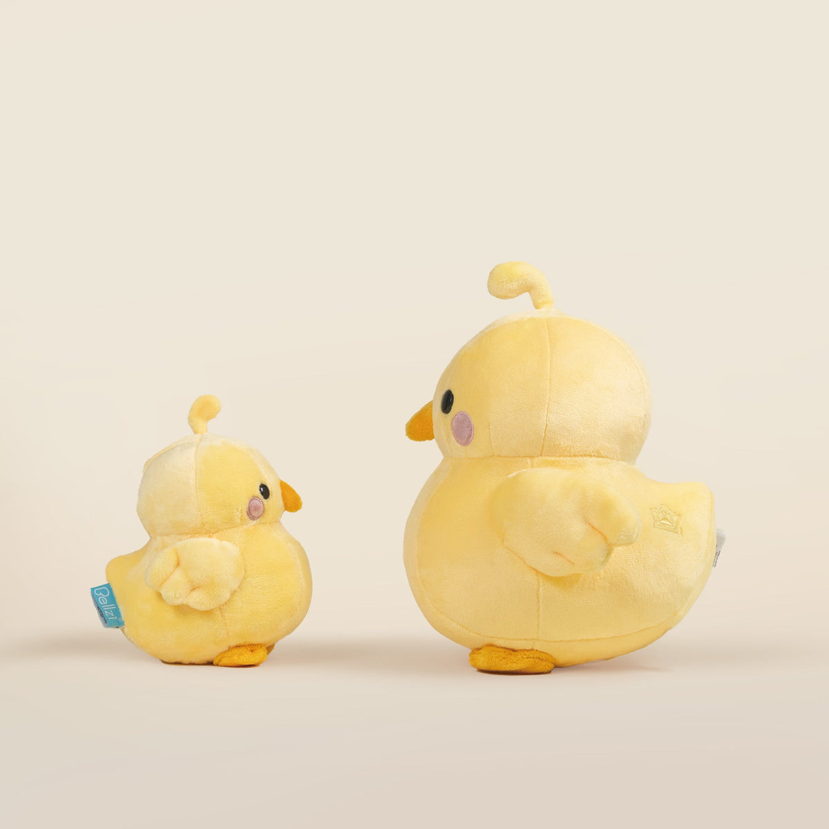 Chicki the Chick