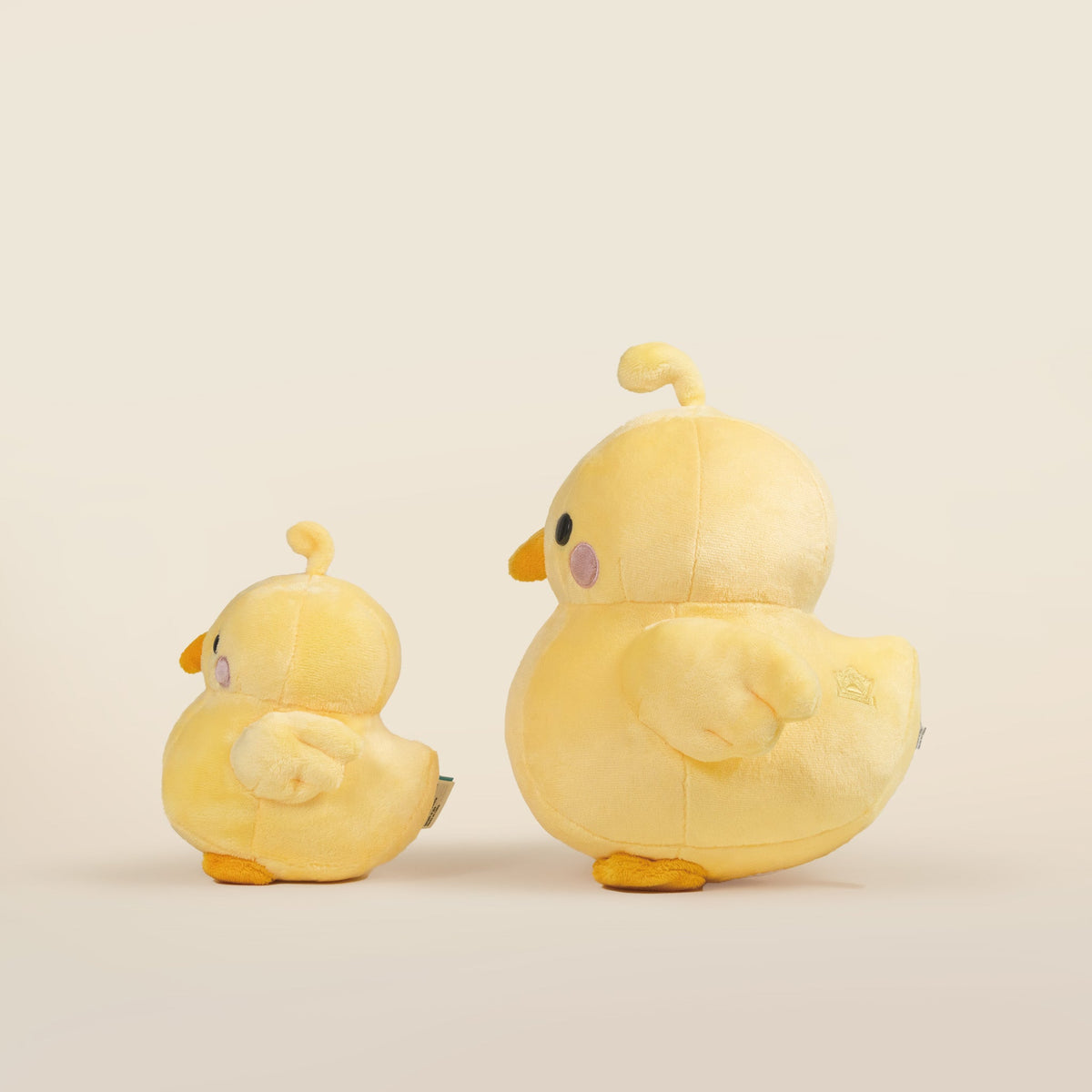 Mini Chicki the Chick