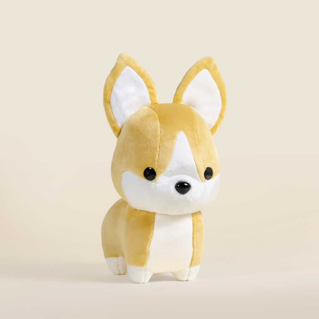 Corgi the Dog