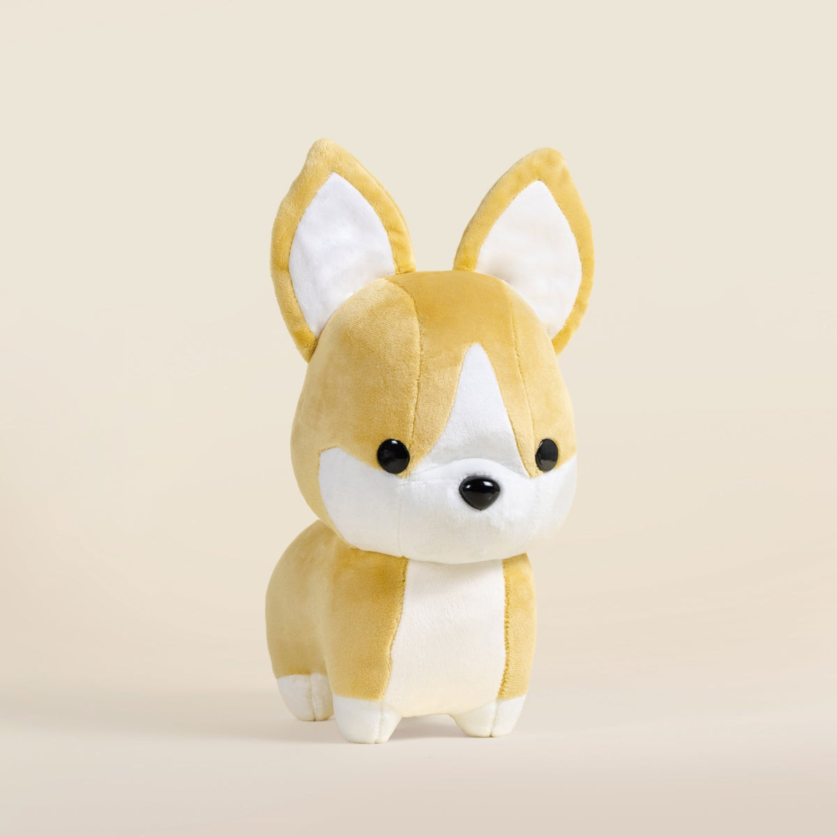 Corgi the Dog