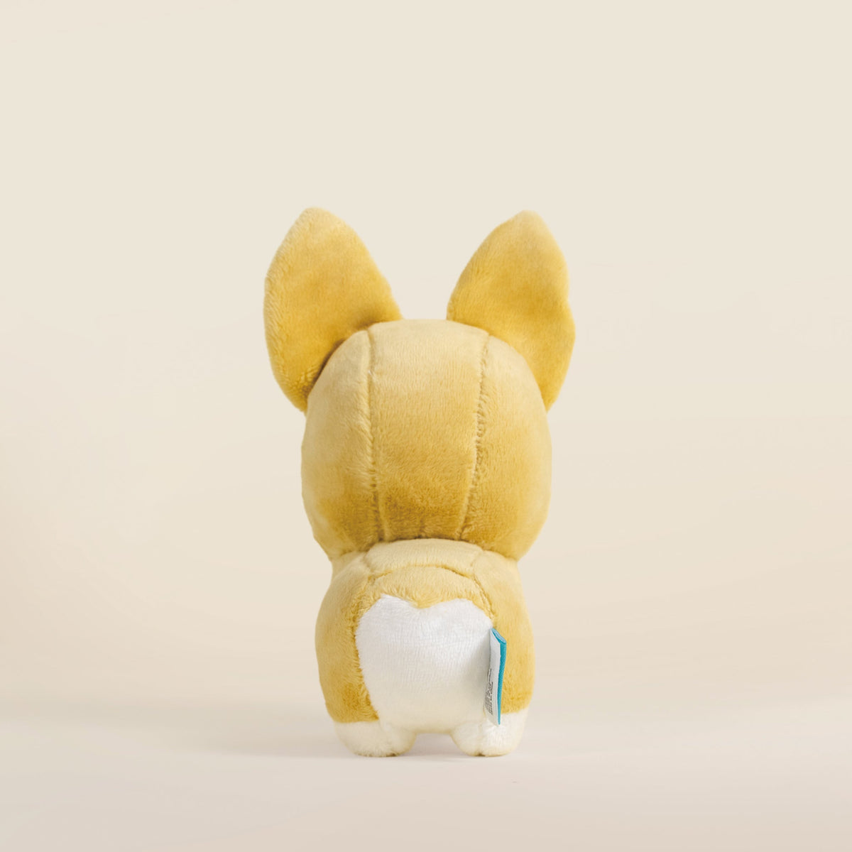 Mini Corgi the Dog