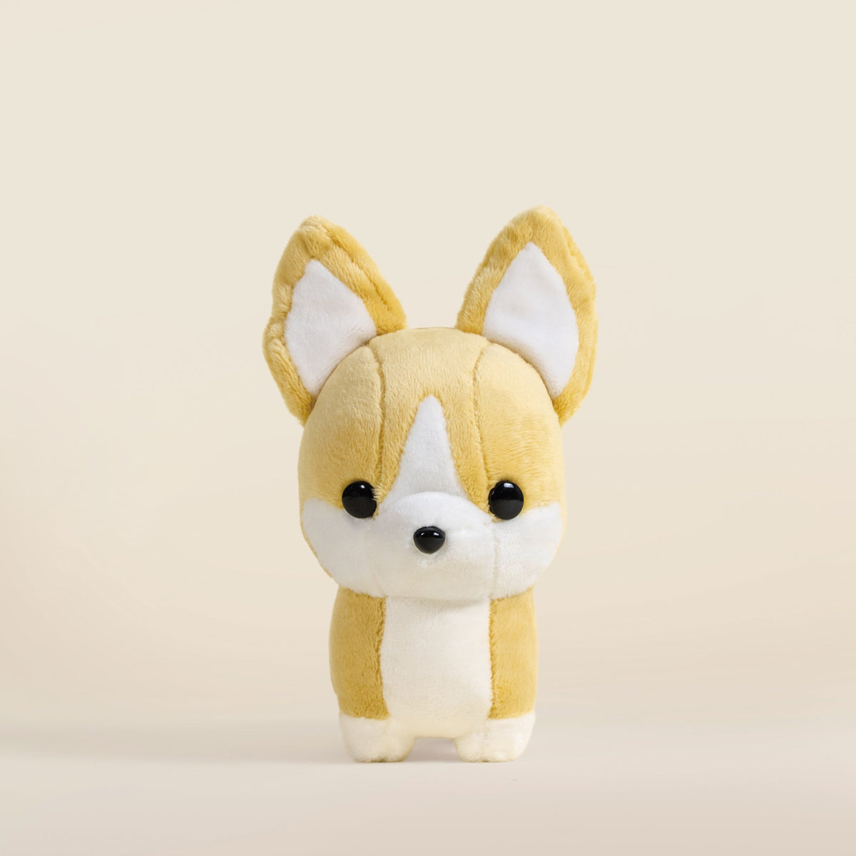 Mini Corgi the Dog