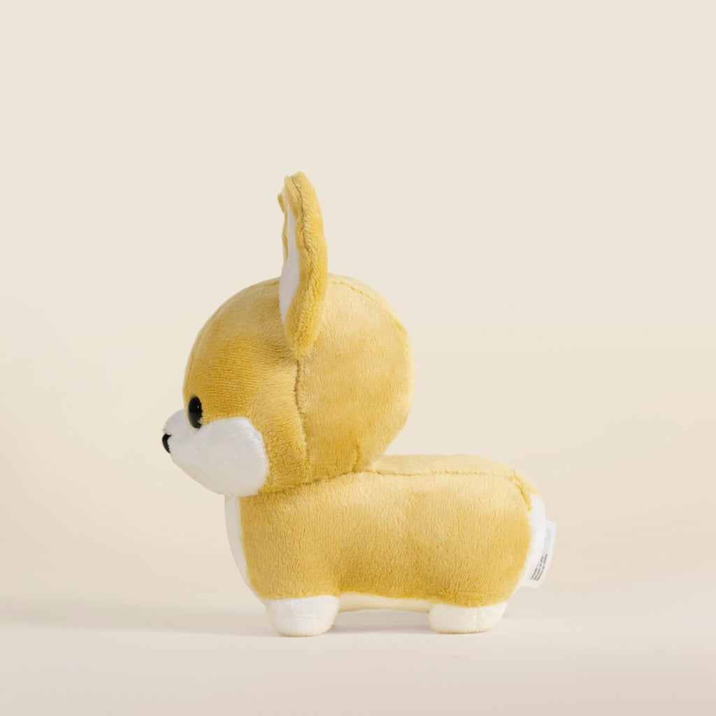 Mini Corgi the Dog