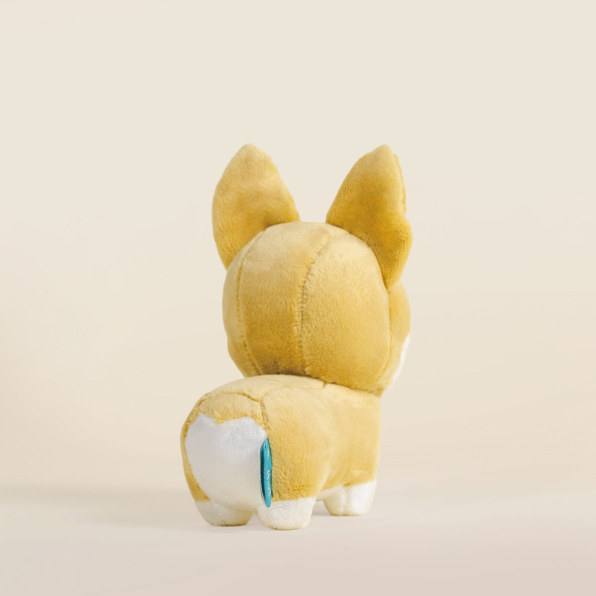 Mini Corgi the Dog