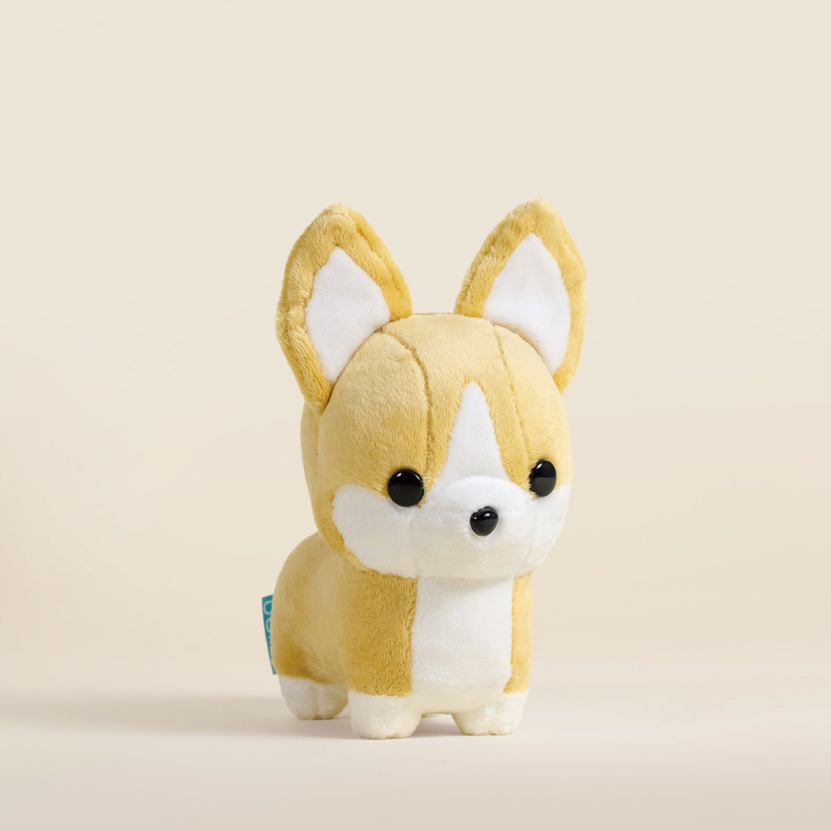 Mini Corgi the Dog