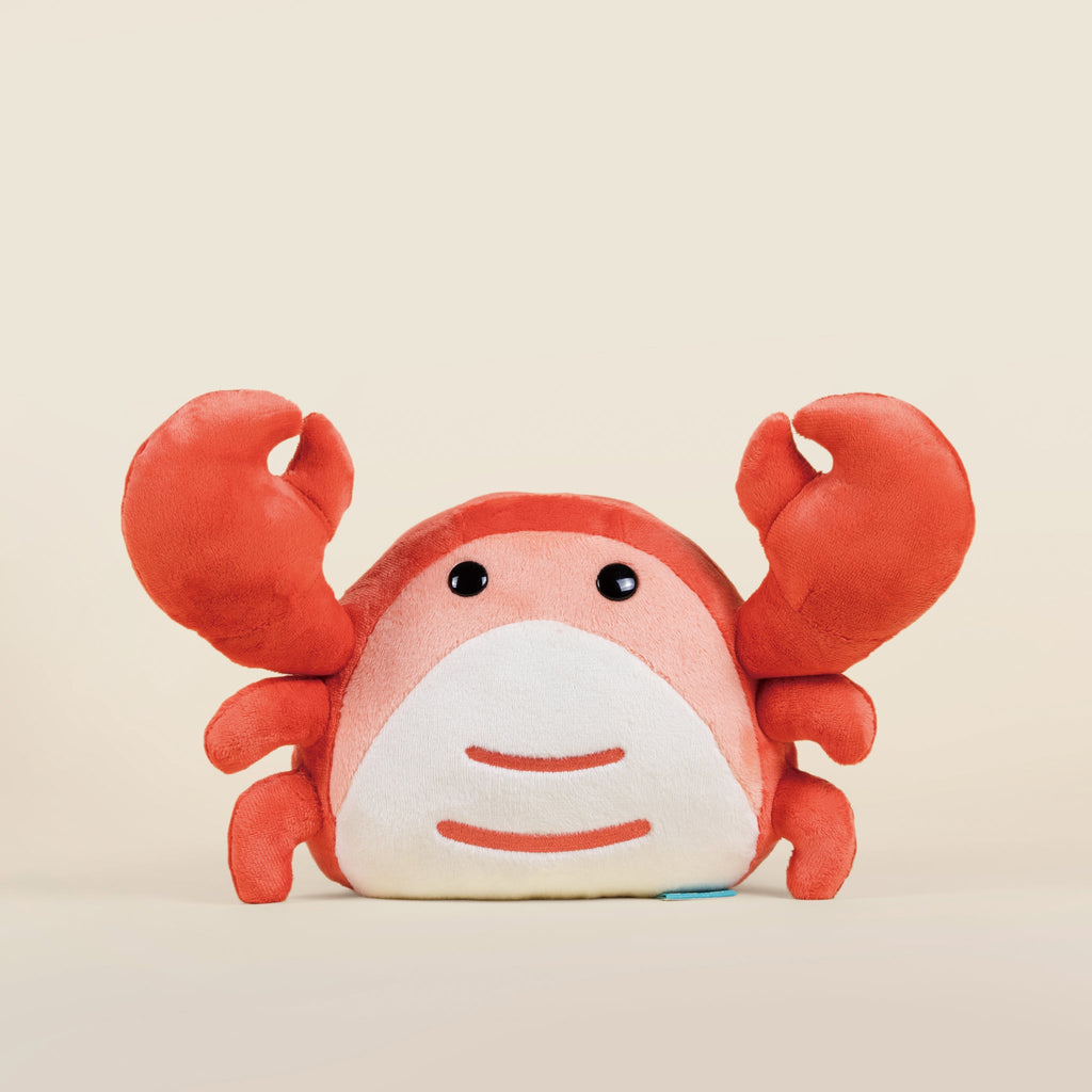 Crabbi The Crab
