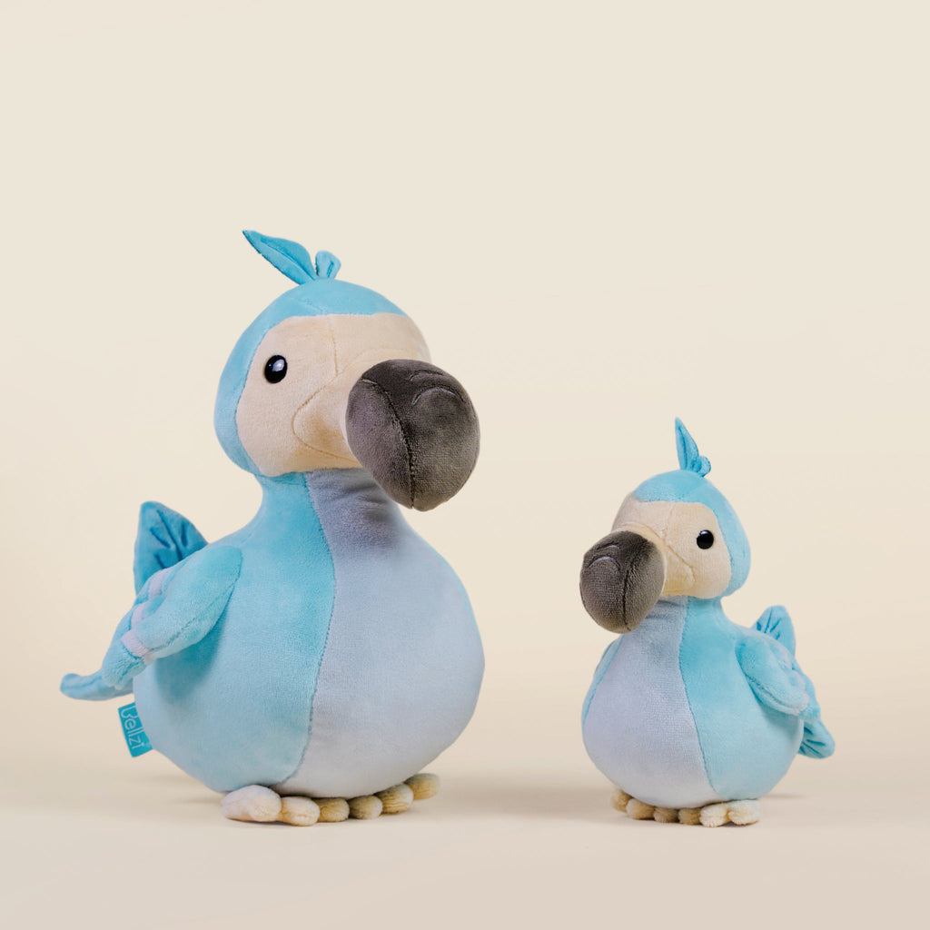 Dodoi the Dodo Bird