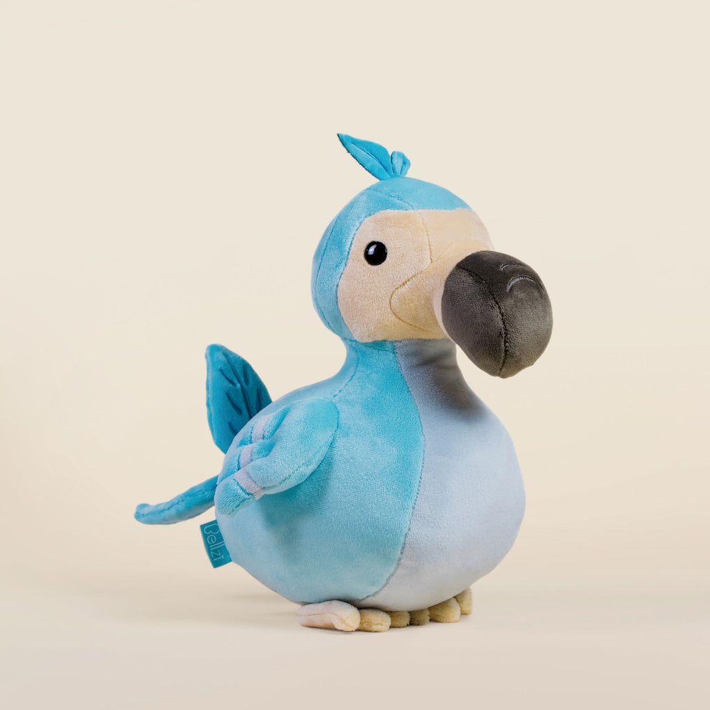 Dodoi the Dodo Bird