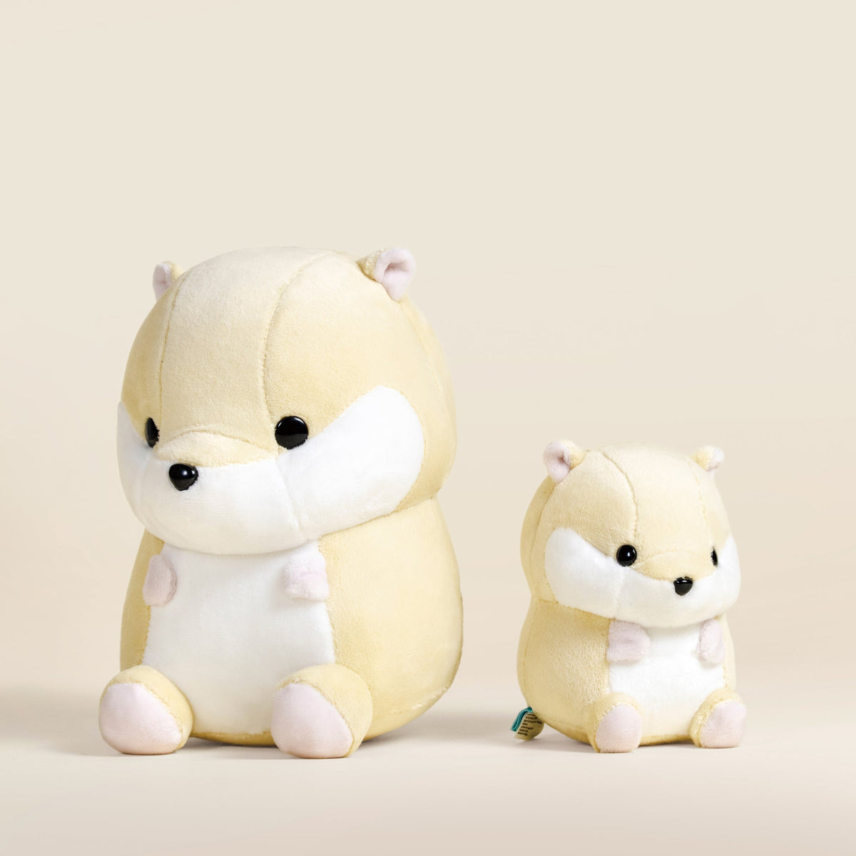 Hami the Hamster