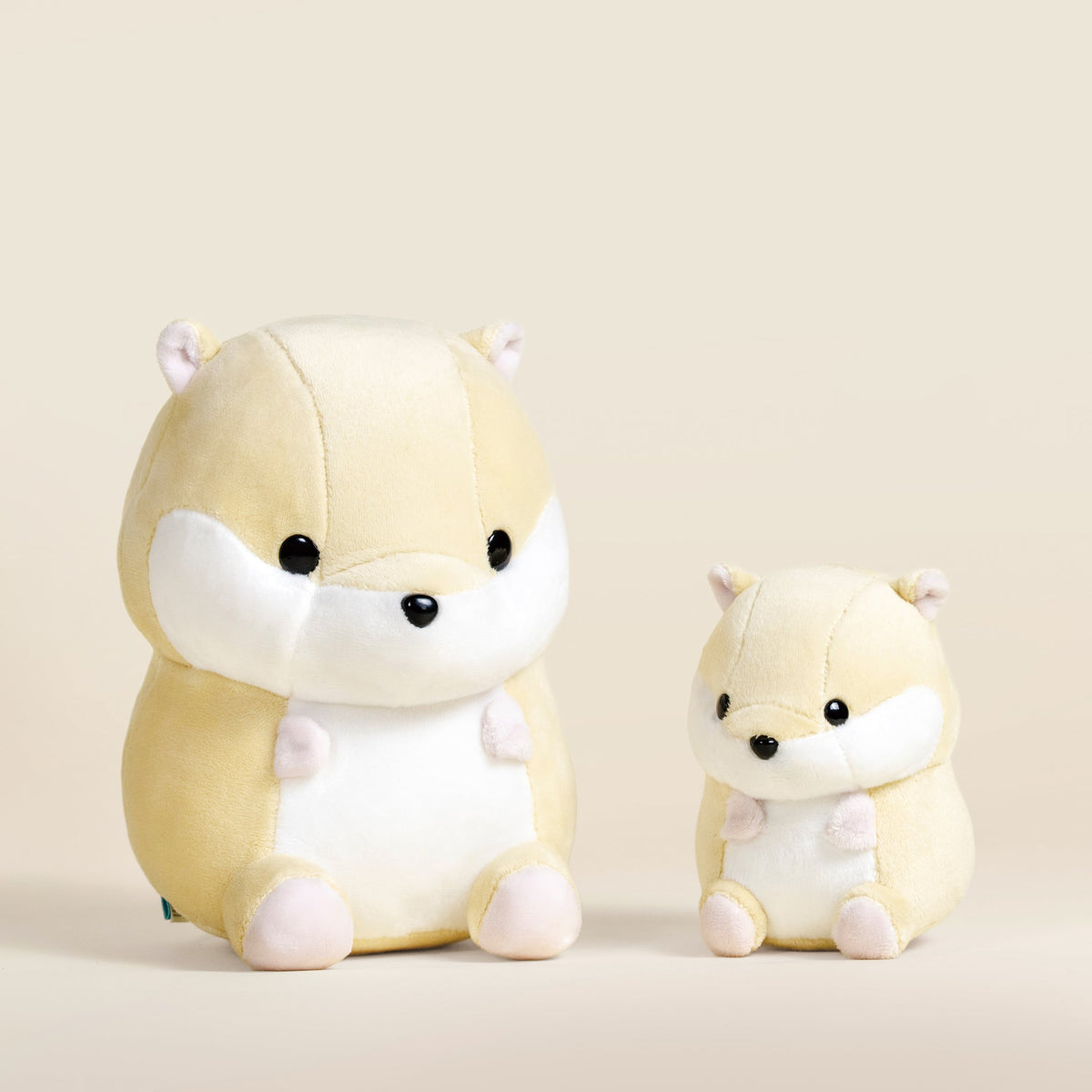 Hami the Hamster