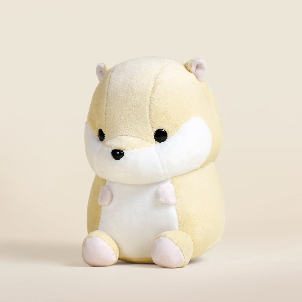 Hami the Hamster