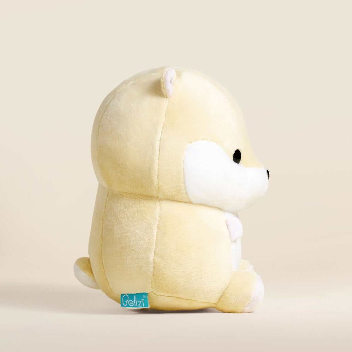 Hami the Hamster
