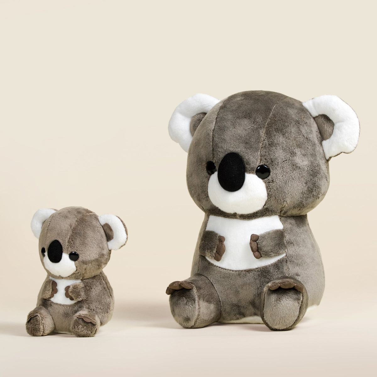 Koali the Koala