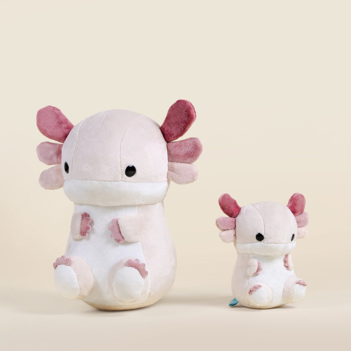 Lotti the Axolotl