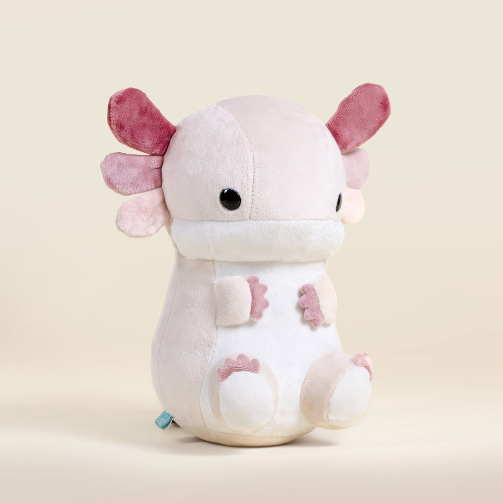 Lotti the Axolotl