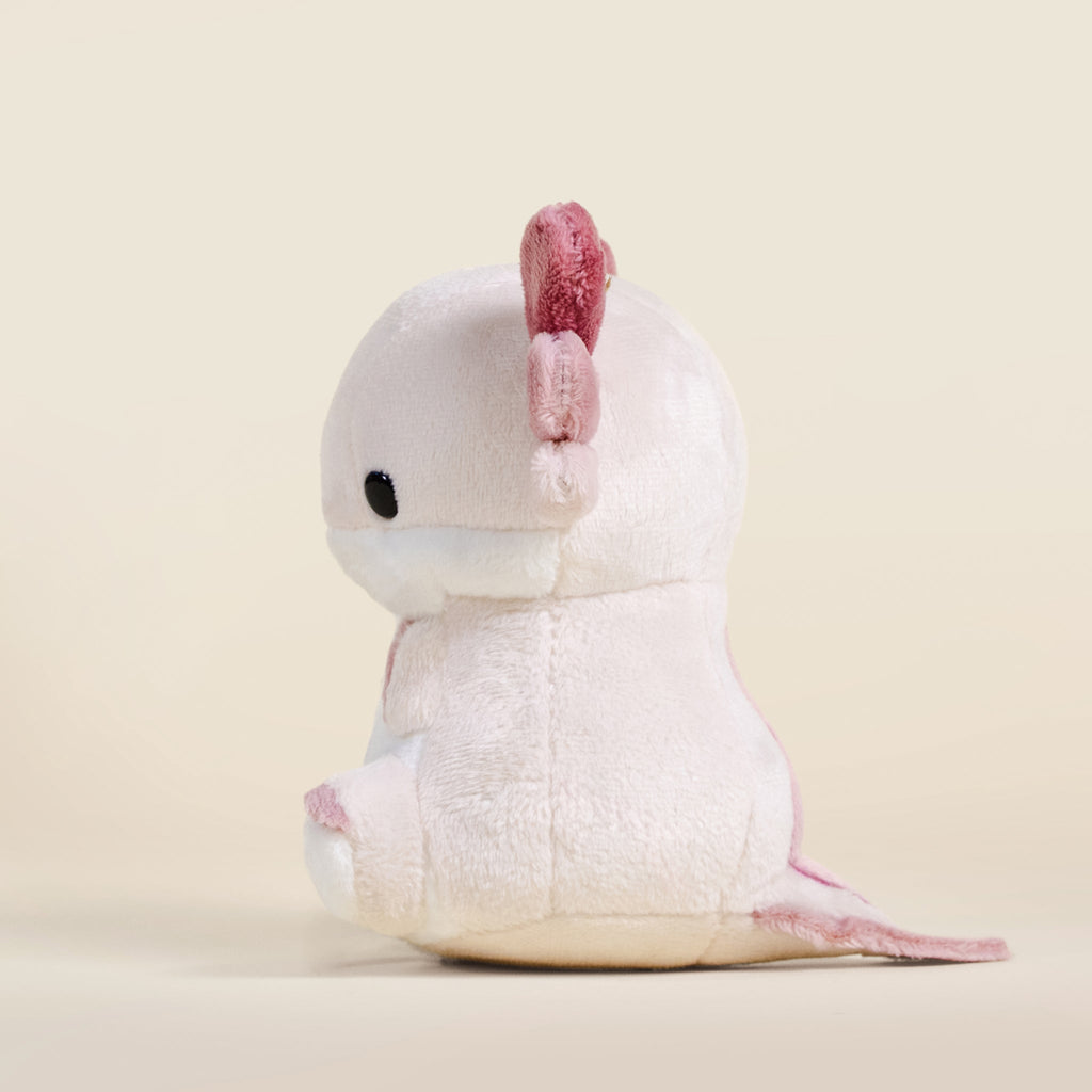 Mini Lotti the Axolotl