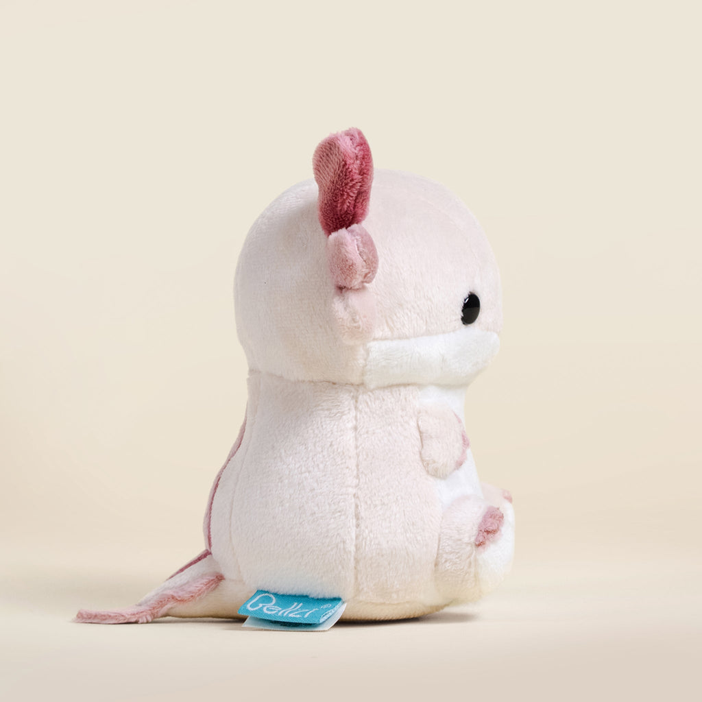 Mini Lotti the Axolotl