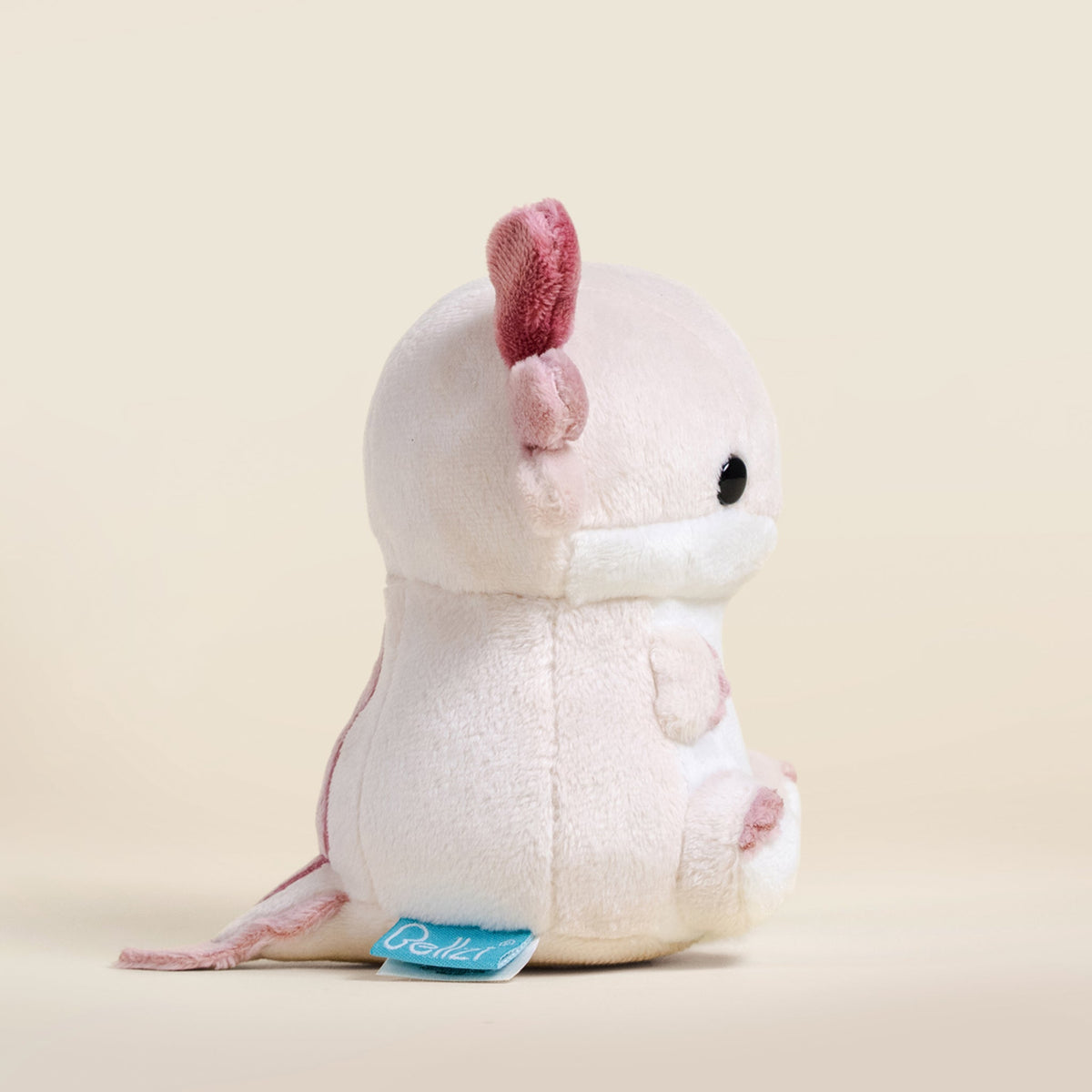 Mini Lotti the Axolotl