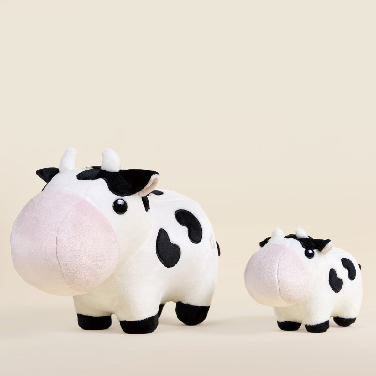 Mooi the Cow