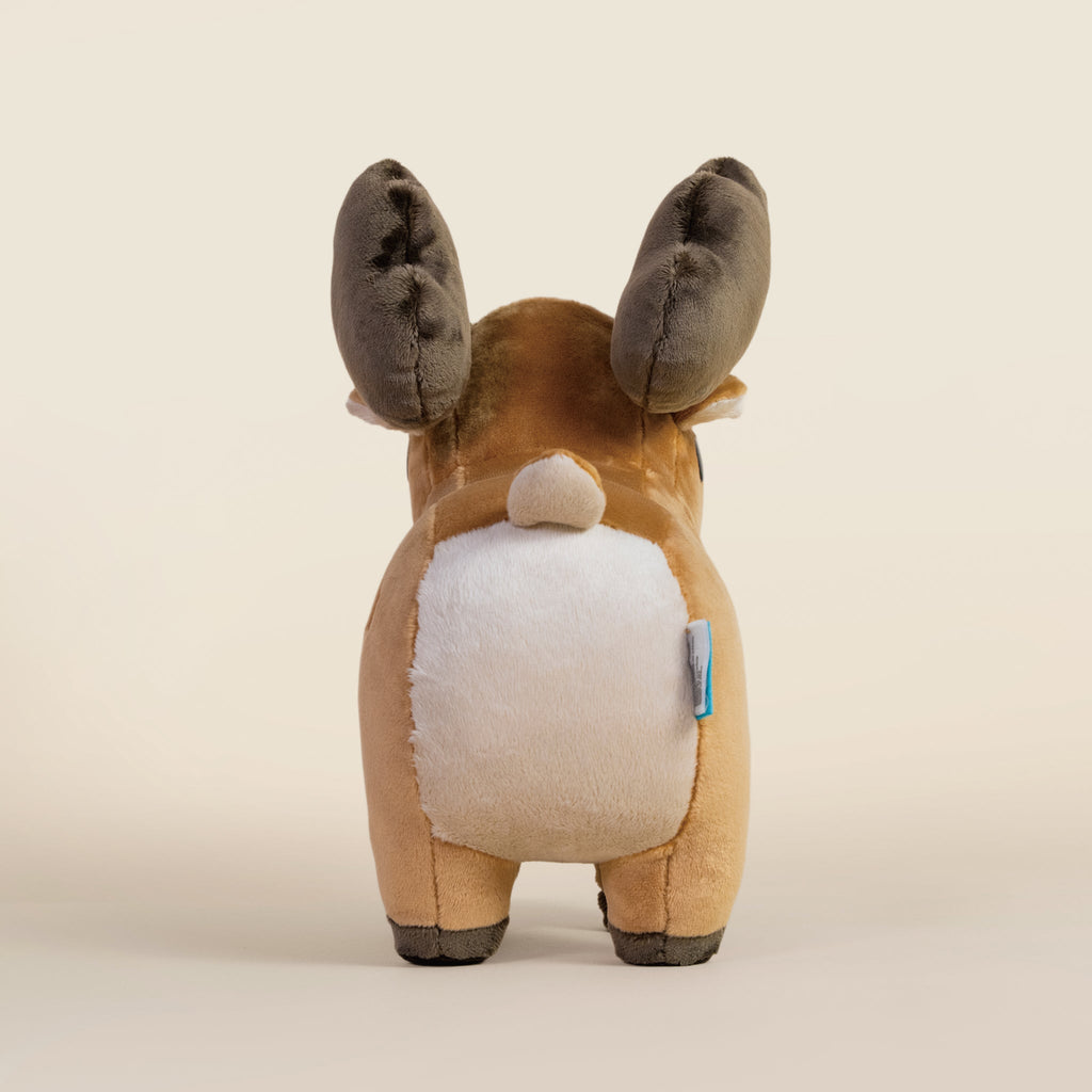 Moosi the Moose