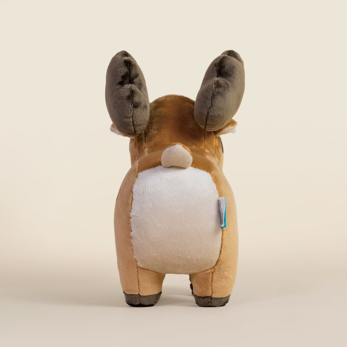 Moosi the Moose