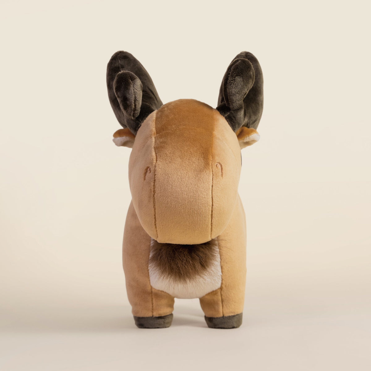 Moosi the Moose